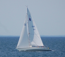 bild_06_cayenne_1_0