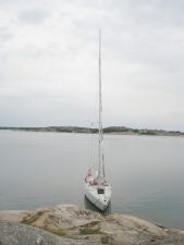 39_213514114
